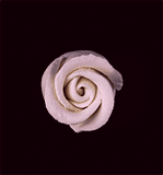 Elegance Gumpaste Rose Bud - Pink