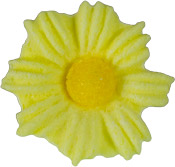 Daisies - Small - Yellow