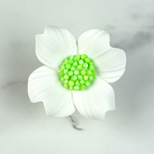 Dogwood Single - White