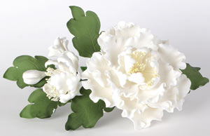 Peony Spray - White
