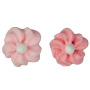 Mini Pink Blossoms Assortment